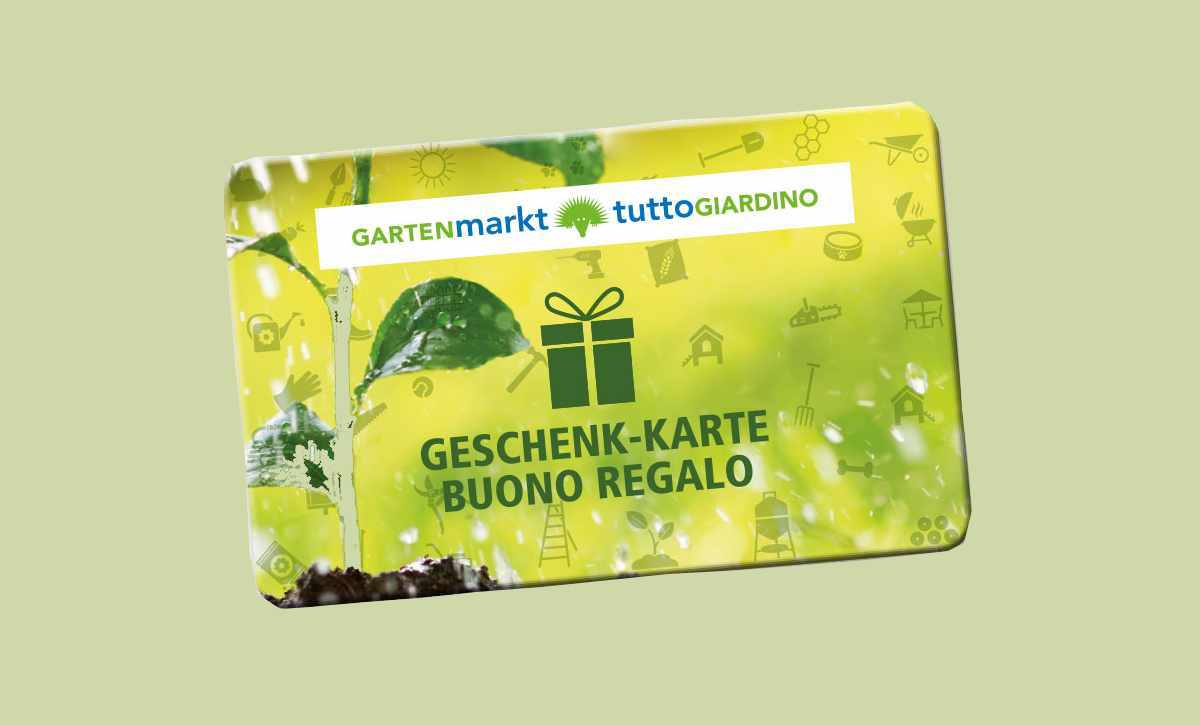 Geschenkkarte-Giftcard-1200x725 (2)