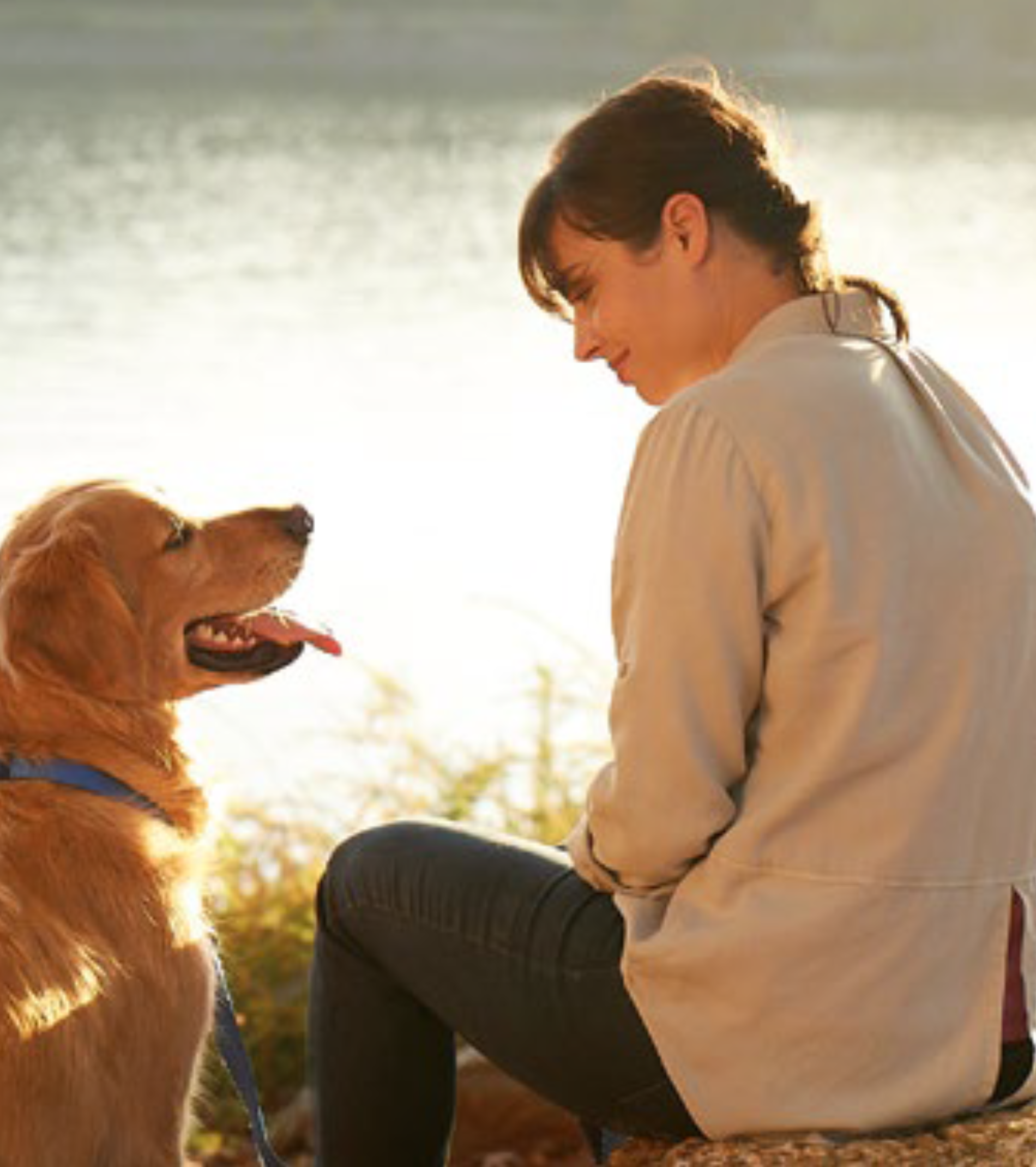 frontiline immagine promozionale