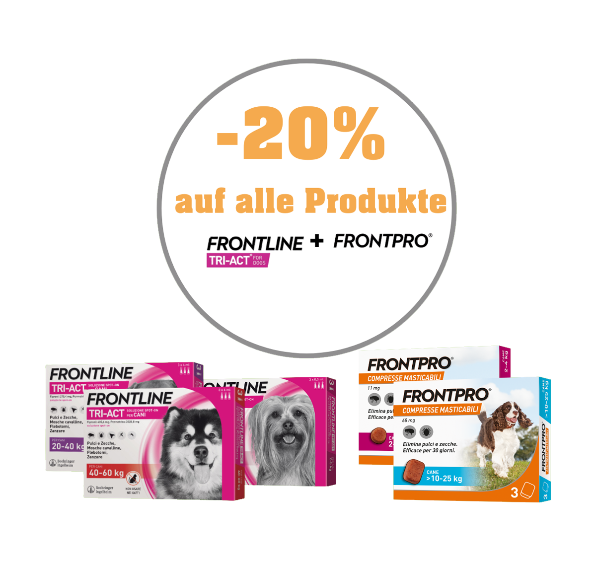 promo -20% sulle spazzoleDE-MIC